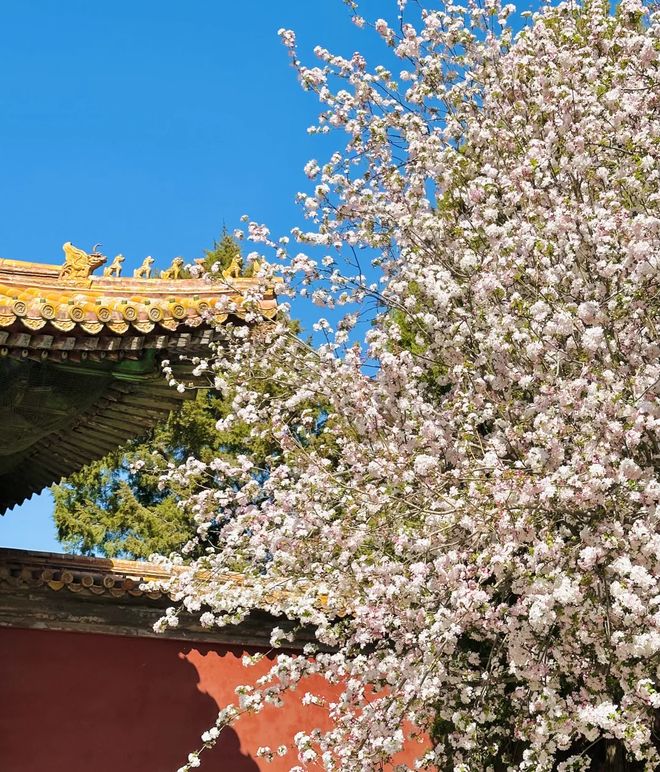 京五一旅游五日游最佳去处攻略北京五一旅游5日游最佳路线北(图3)