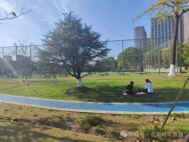 5智慧城广场网站--昆山花桥智慧城广场-202(图3)